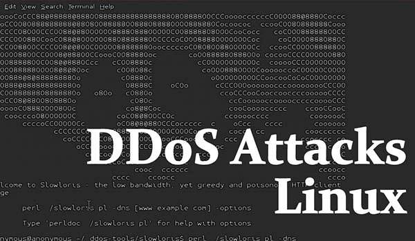 attacchi ddos linux