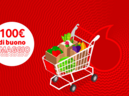 buono spesa 100 euro