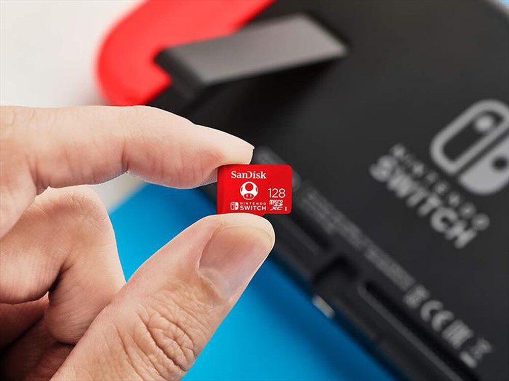 Micro sd Nintendo Switch